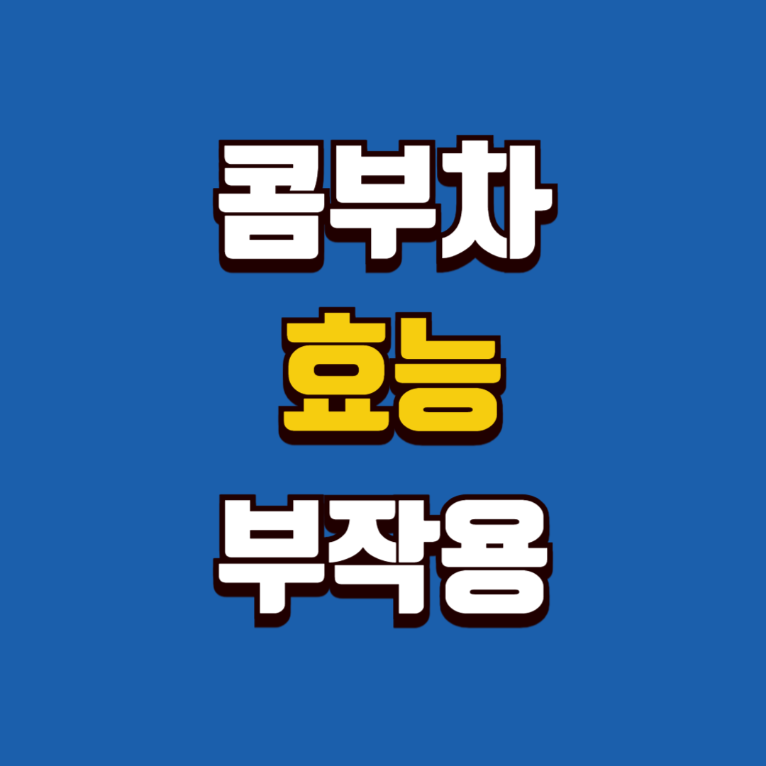 콤부차 효능