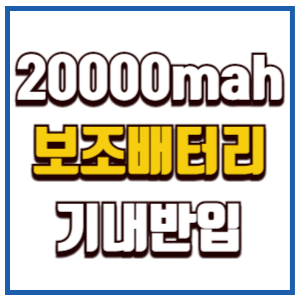 20000mah 보조배터리 기내반입