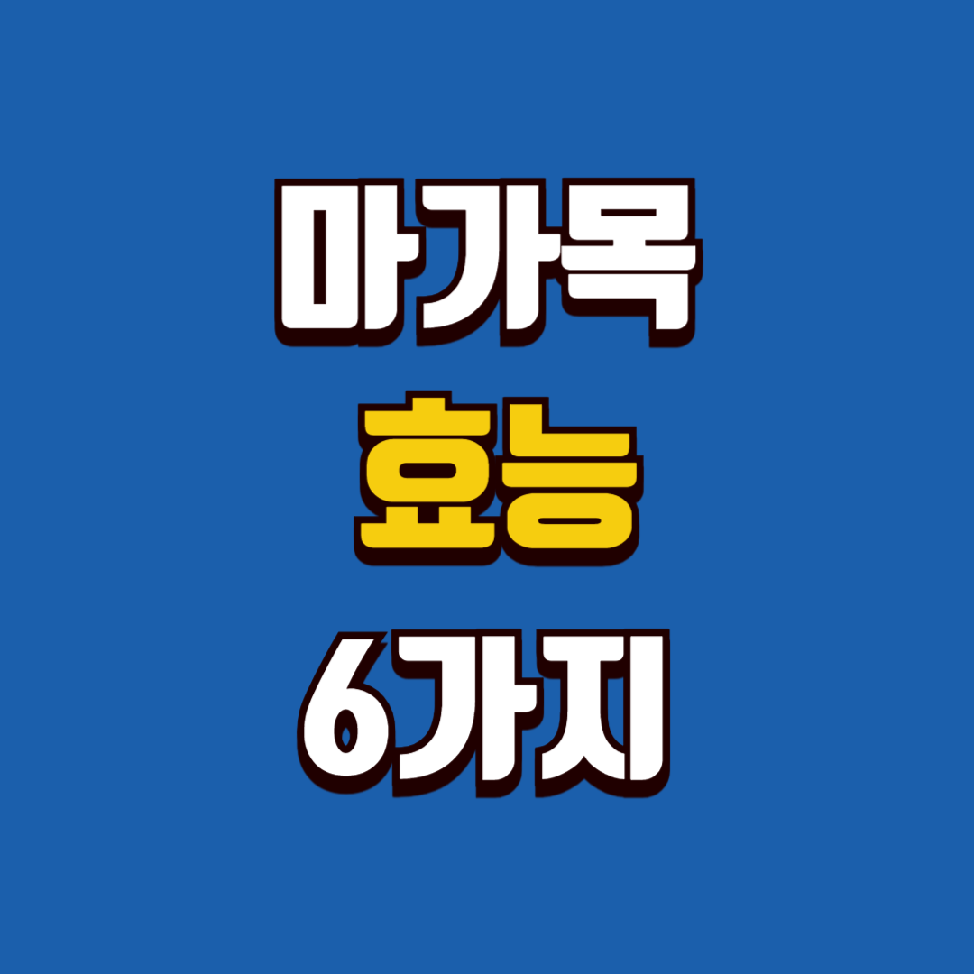 마가목 효능 6가지