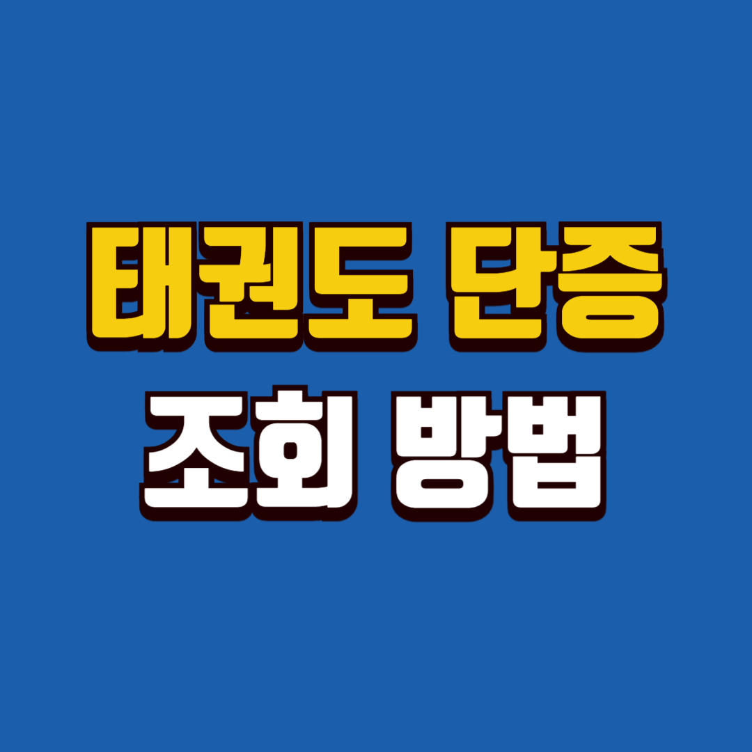 태권도 단증 조회 방법