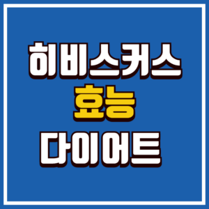 히비스커스 차 효능